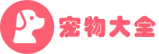 宠物网